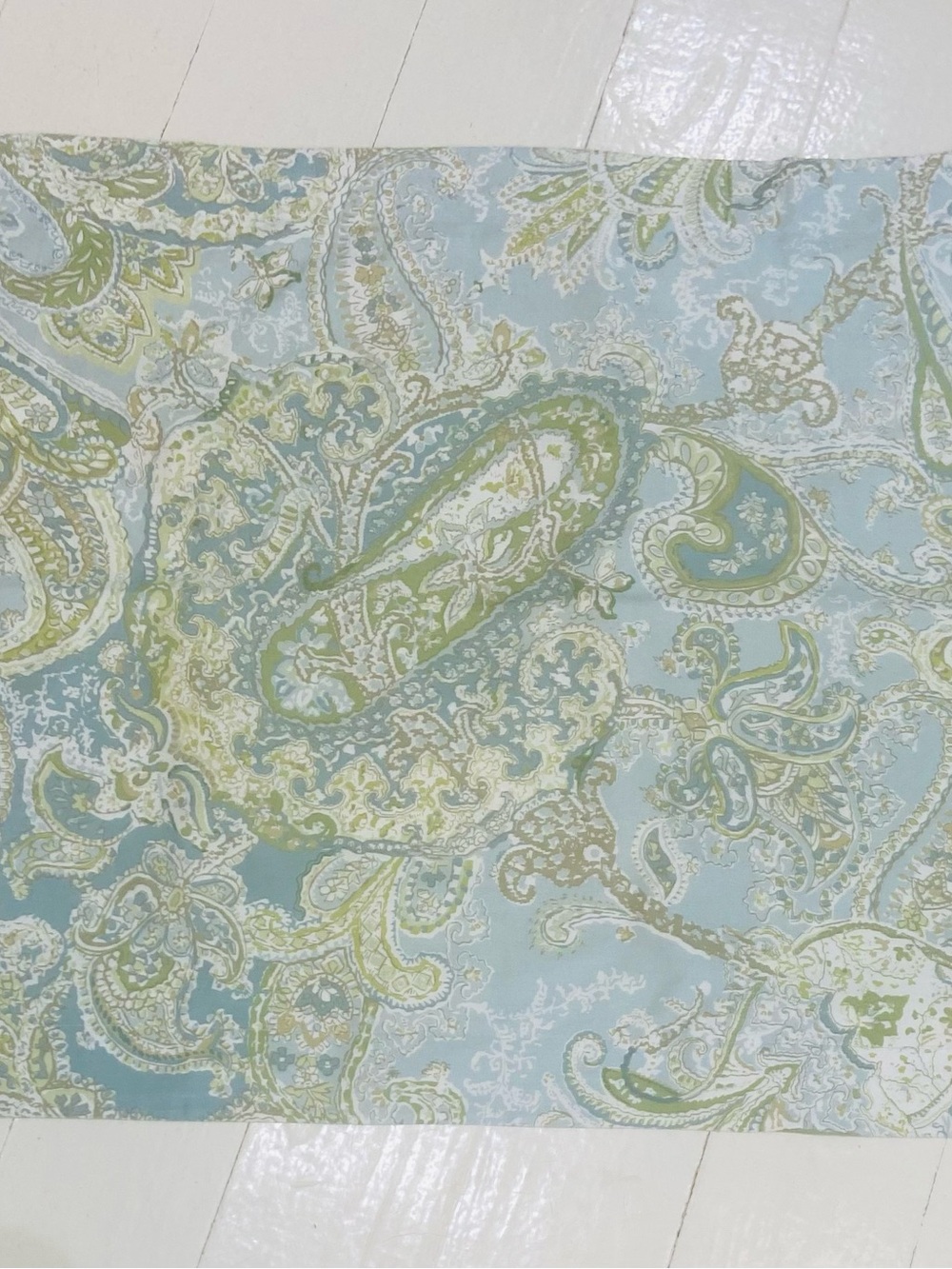 Pottery Barn single standard Light Blue & Green Paisley Pillow Sham Caesarea